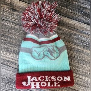 Jackson Hole Knit Beanie with Pom
